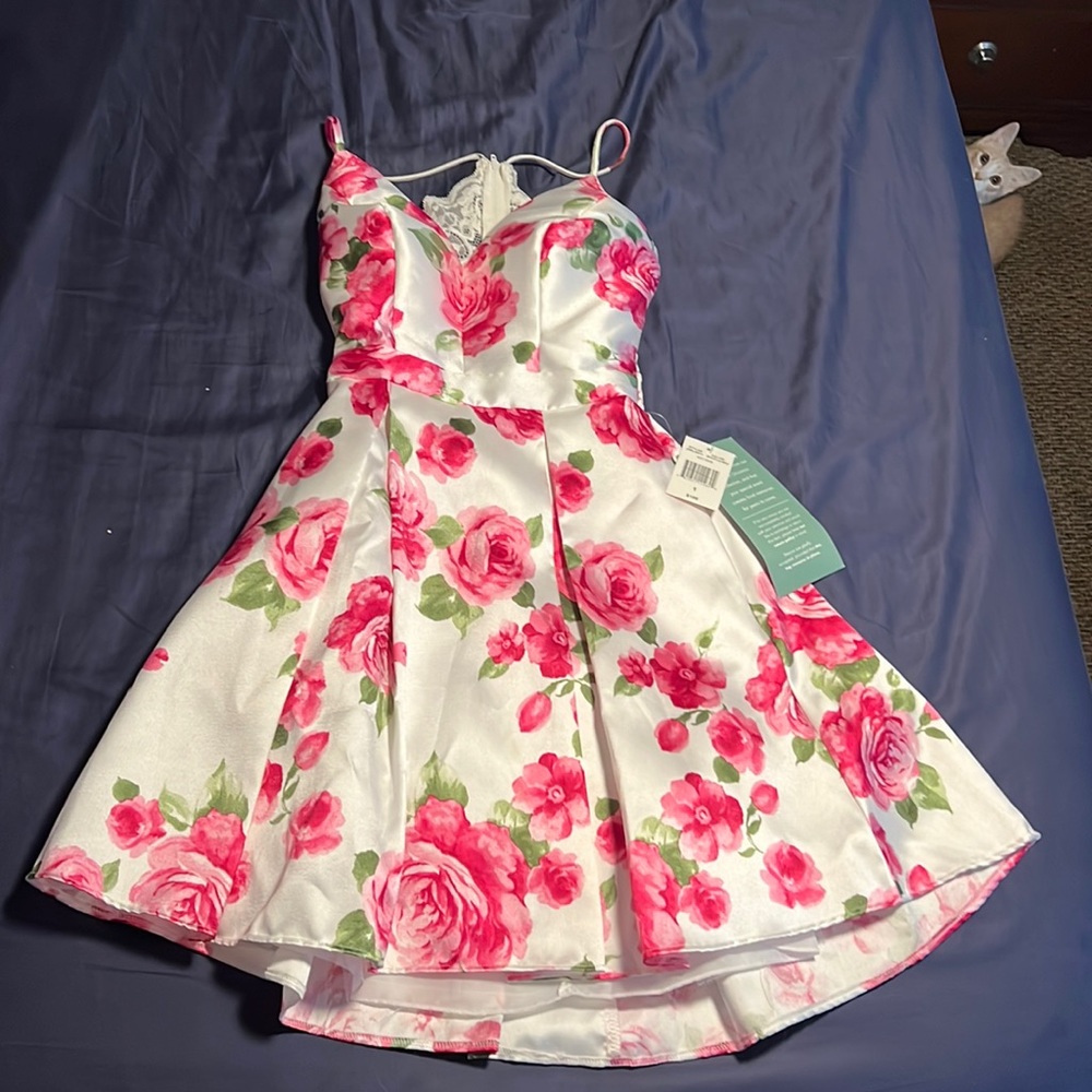 B. Smart Dress